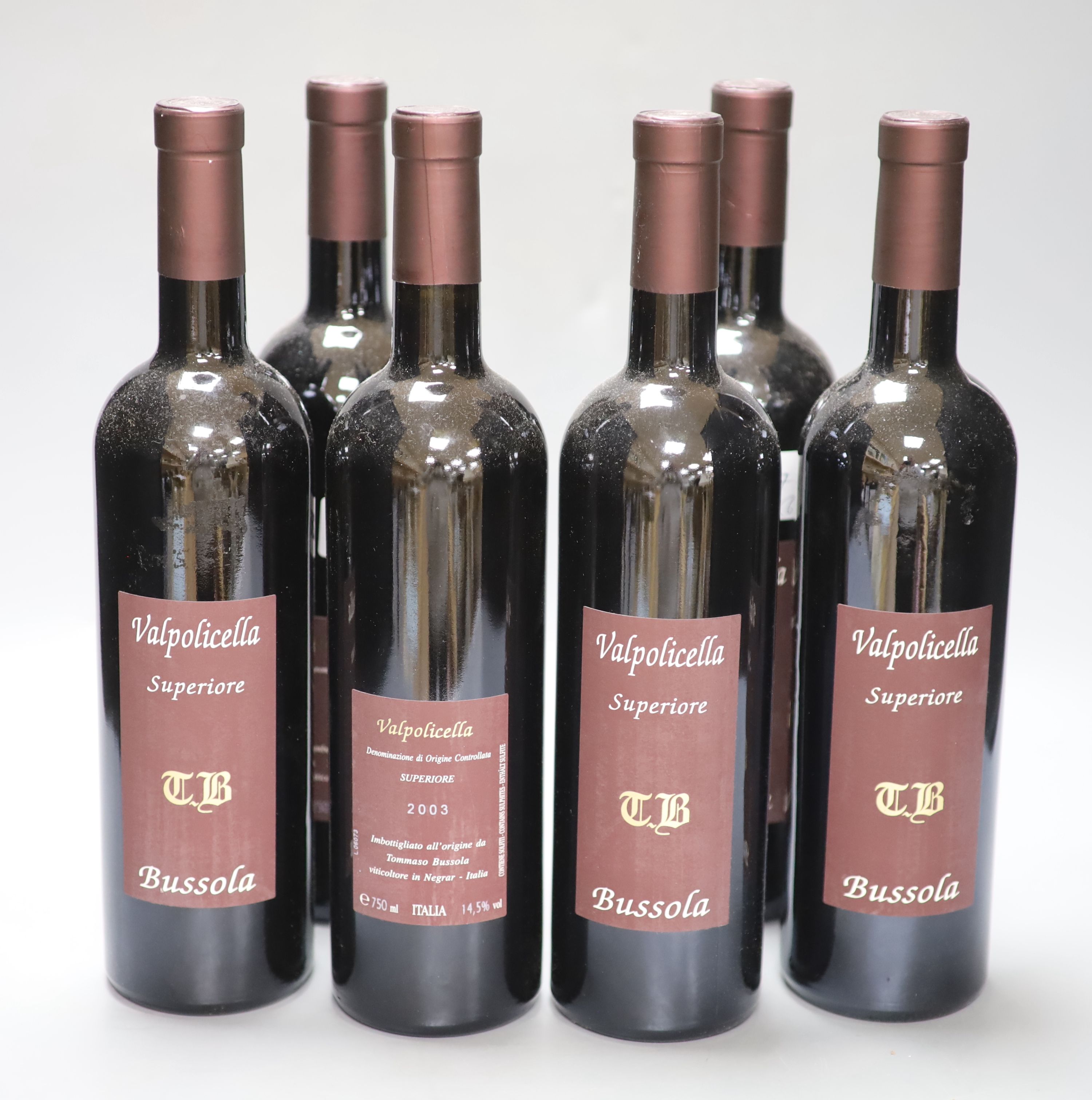 Six bottles of Tommasso Bussola TB Valpolicella Classico Superiore - Veneto 14.5%, 2003